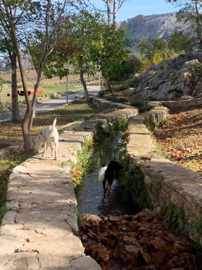 Villa Remedios Cuevas del Becerro Kültér fotó