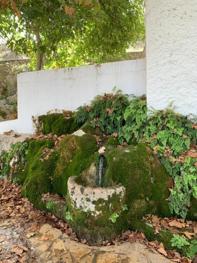 Villa Remedios Cuevas del Becerro Kültér fotó
